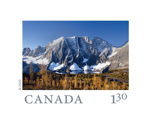 From Far and Wide (2020) : U.S. rate stamps   coil of 50