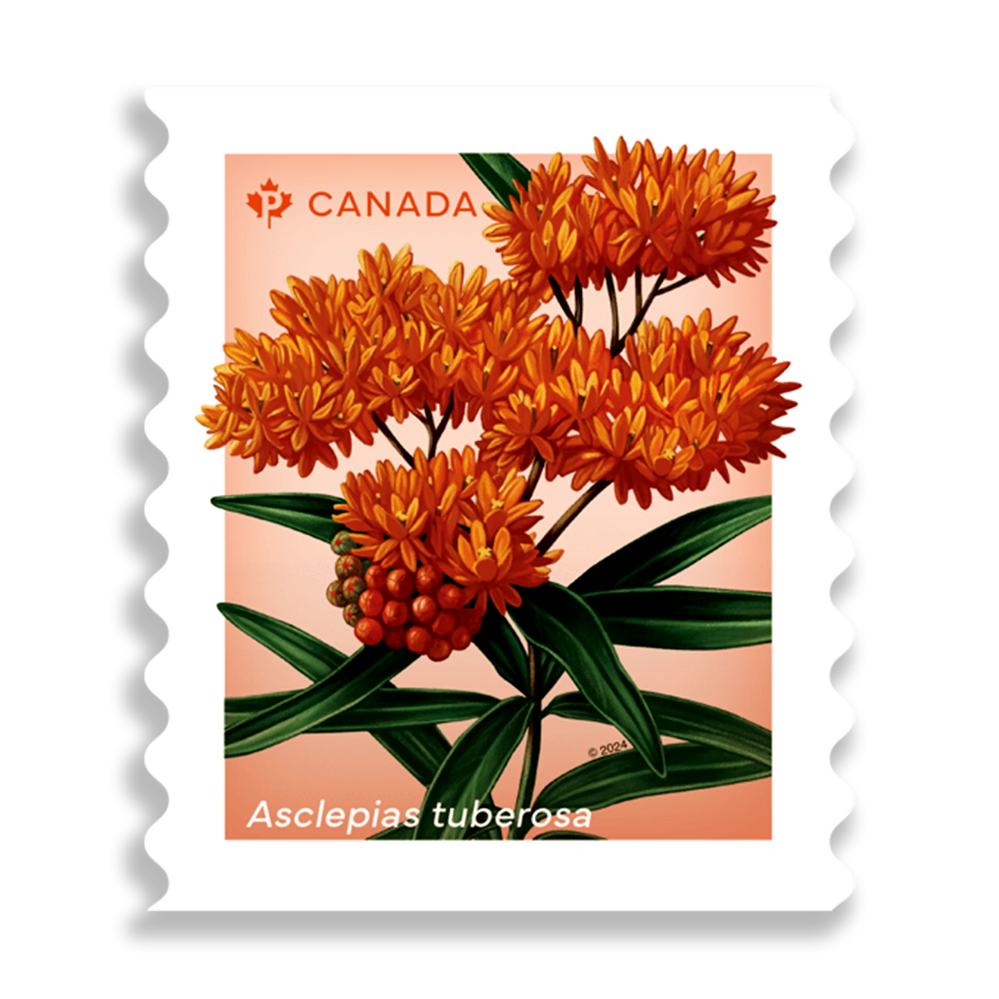 Wildflowers coil of 50 Permanent™ stamps