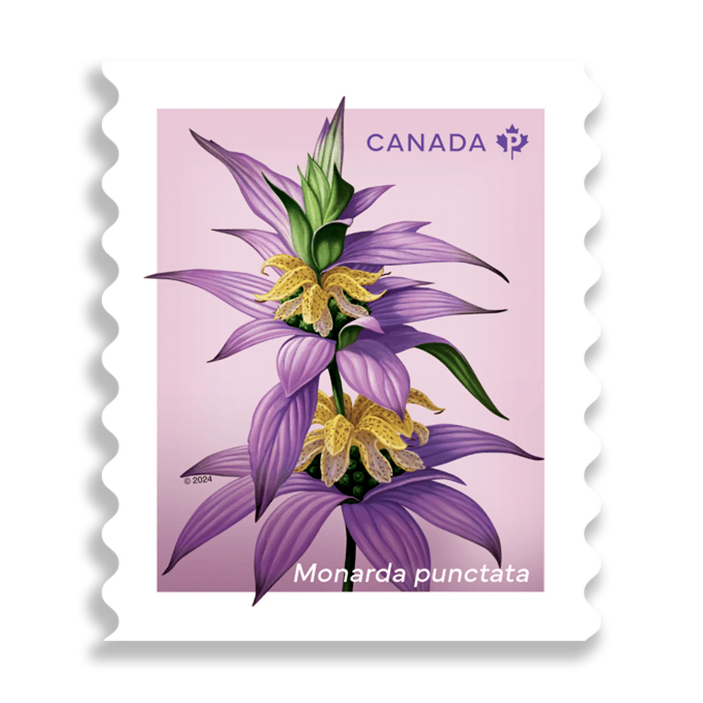 Wildflowers coil of 50 Permanent™ stamps