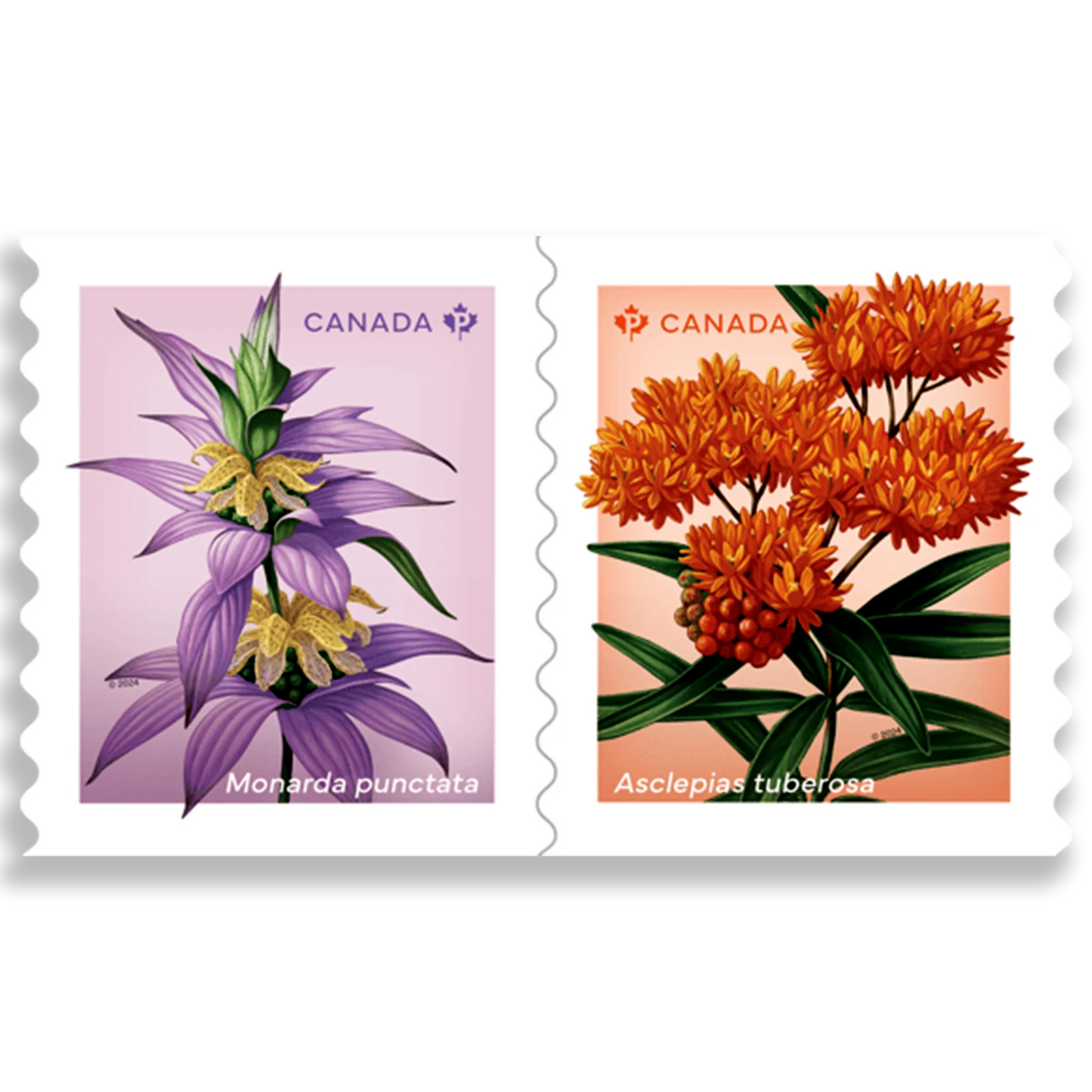 Wildflowers coil of 50 Permanent™ stamps