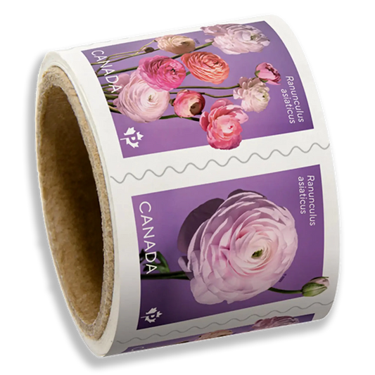 Ranunculus: Permanent™ domestic rate stamps   coil of 50